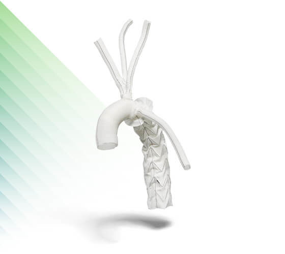 JOTEC (Artivion) — Aortic stent grafts & vascular prostheses