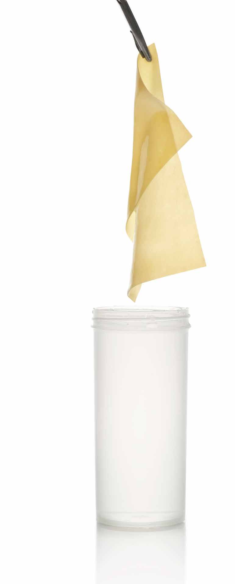 XenoSure® Biologic Patch — bovine pericardium for vascular reconstruction